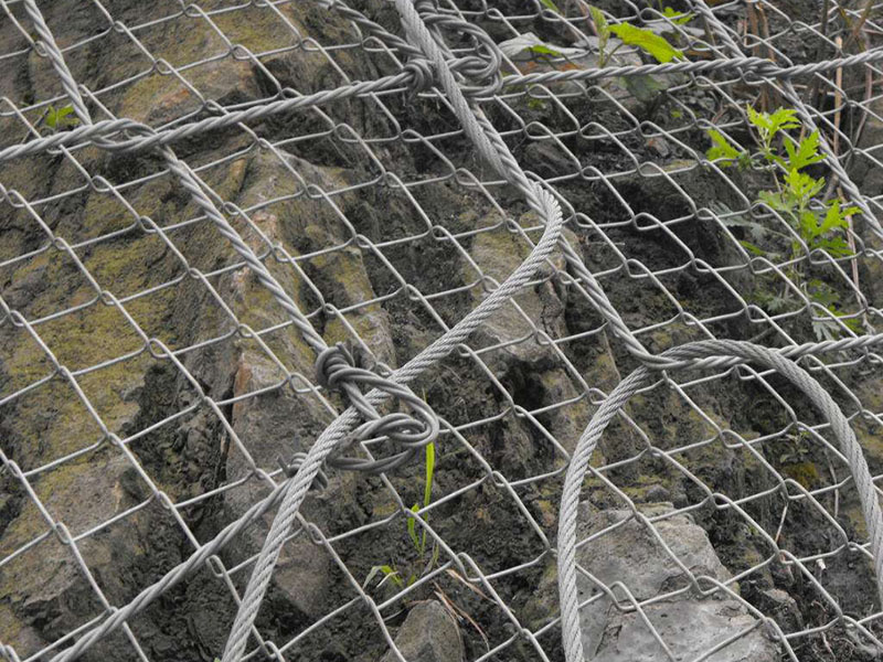 ���ӷ��o�W(w��ng)